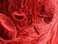 Class_11_Biology_Body_Fluids_&_Circulation_Blood