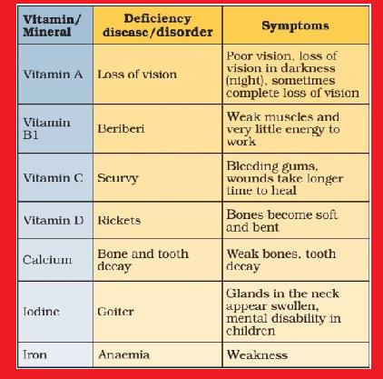 Class_12_BioMolecules_Deficiency_Of_Vitamins_1