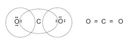 Class_11_Chemistry_Chemical_Bonding_Structure_Of_Carbondioxide