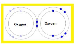 Class_11_Chemistry_Chemical_Bonding_OxygenMolecule