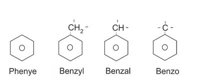 Class_11_Concepts_Of_Chemistry_Aromatic_Compounds_ArylGroups